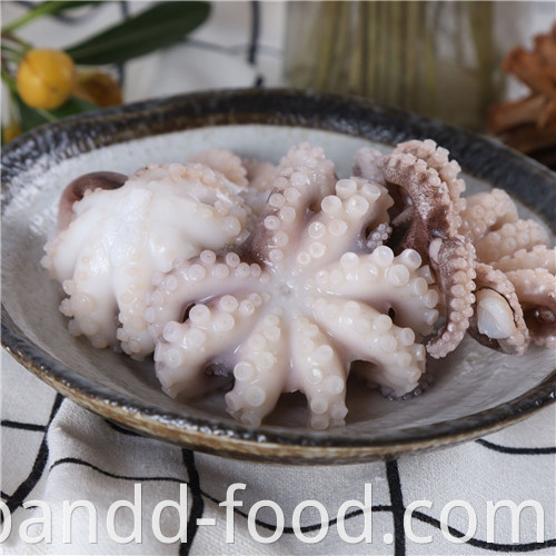 Blanched Baby Octopus